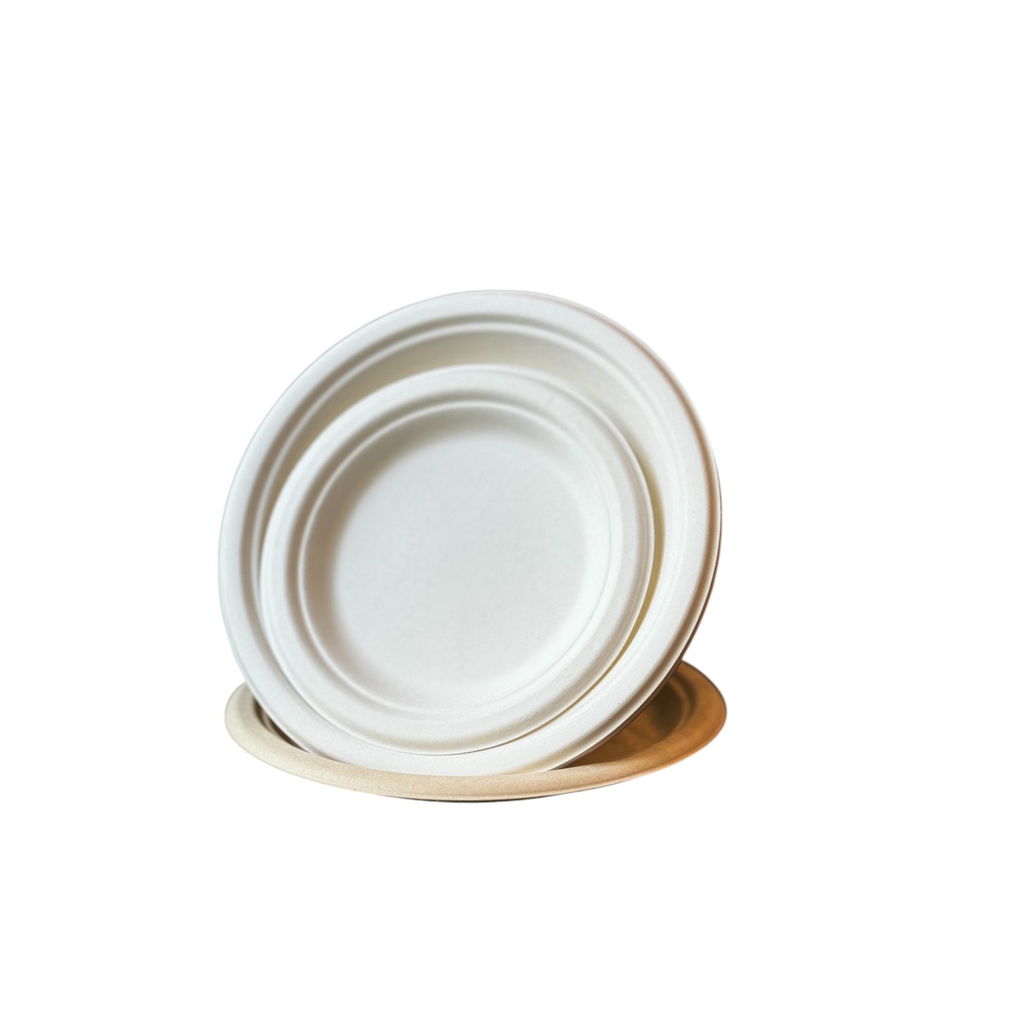 Biodegradable Plant Starch Plate and Cutlery Set