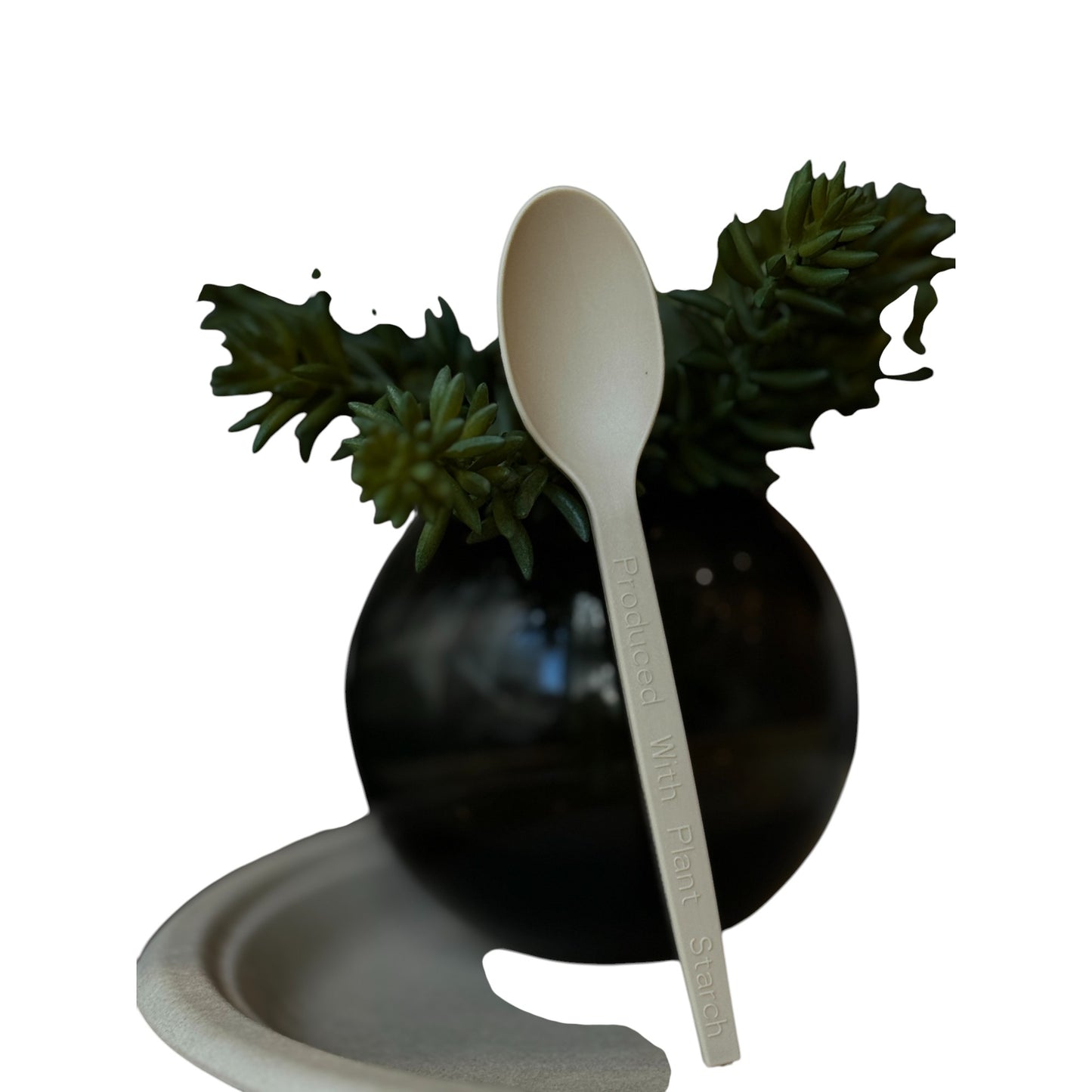 Biodegradable Plant Starch Plate and Cutlery Set