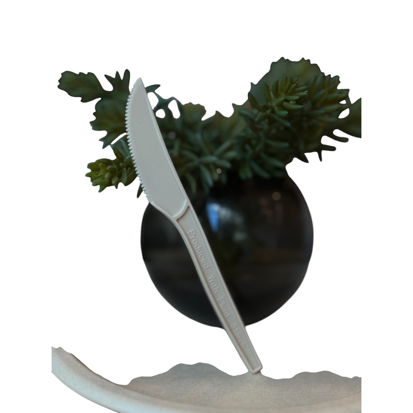 Biodegradable Plant Starch Plate and Cutlery Set