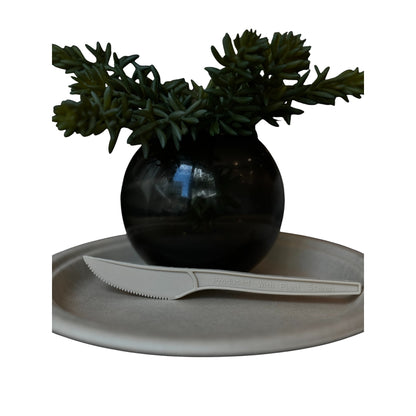 Biodegradable Plant Starch Plate and Cutlery Set